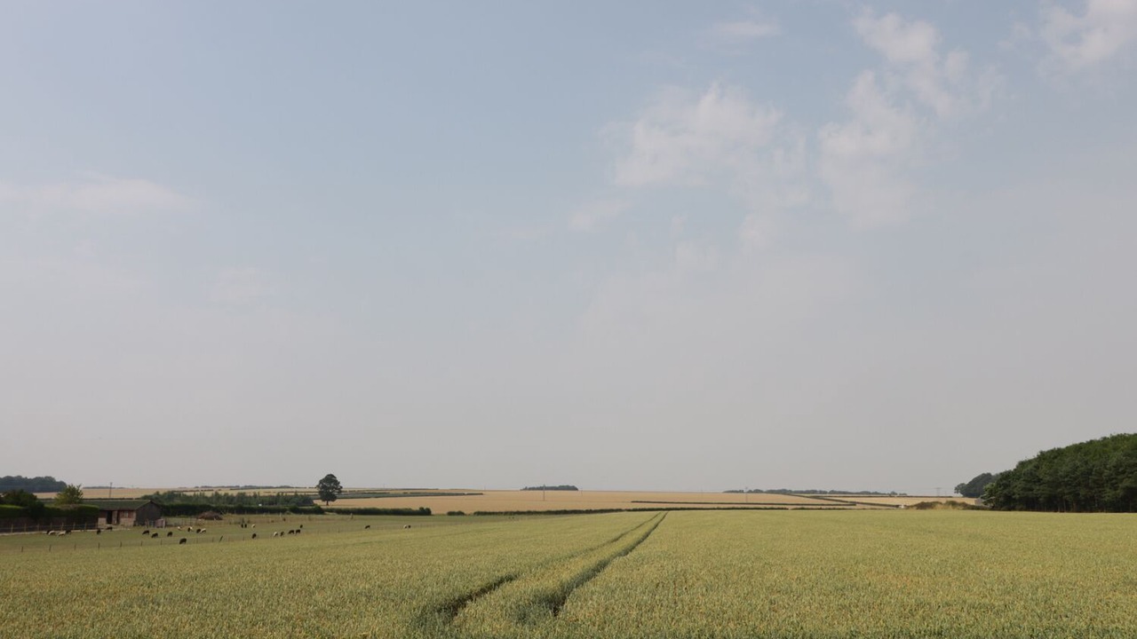 Photo of Others in North Dalton