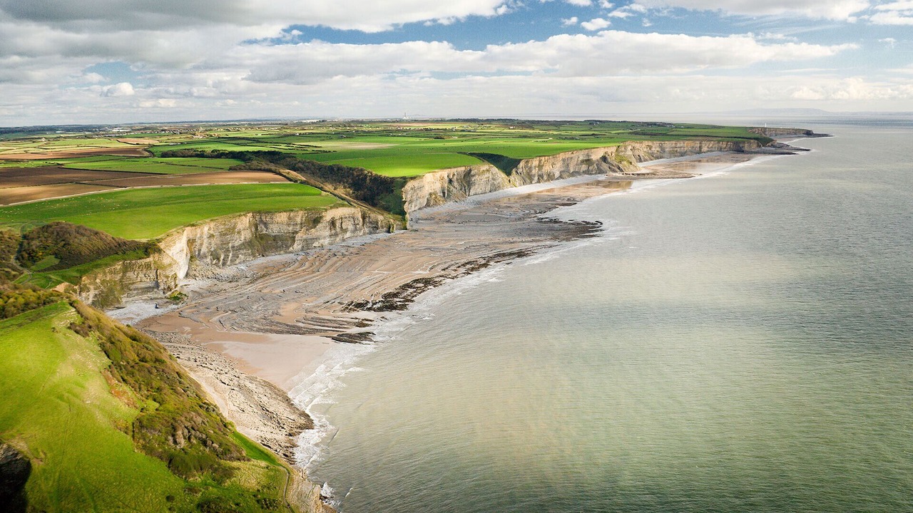 Photo of Others in Pontcanna