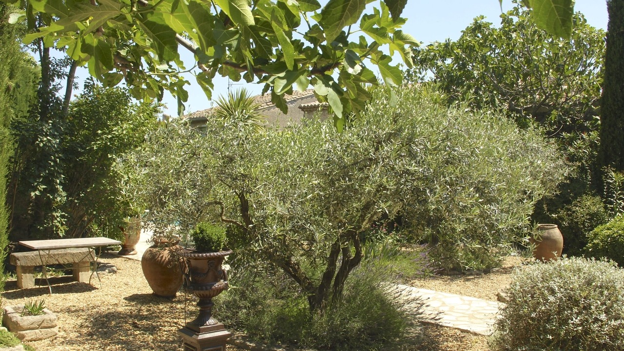 Photo of Outdoor in Aubais