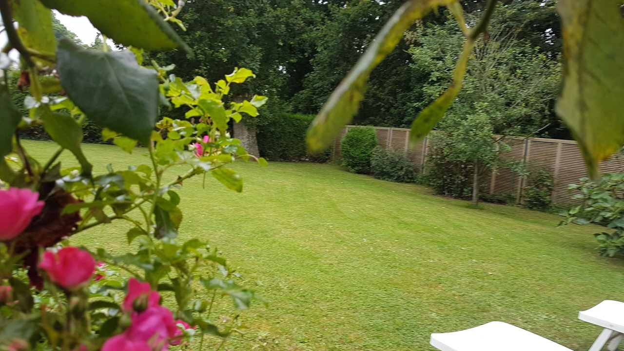 Photo of Outdoor in Lancieux