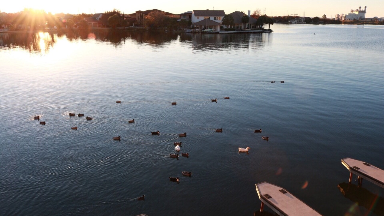 Photo of Others in Horseshoe Bay