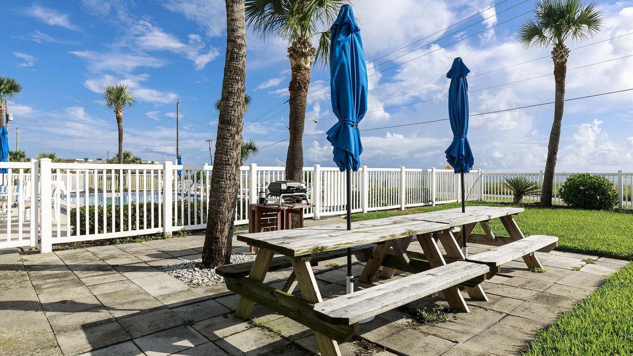 Photo of Others in Ormond-by-the-Sea