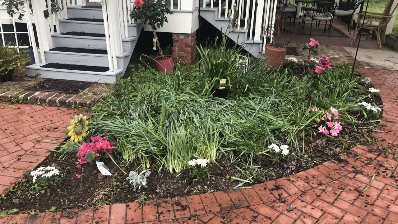 Photo of Outdoor in Jefferson