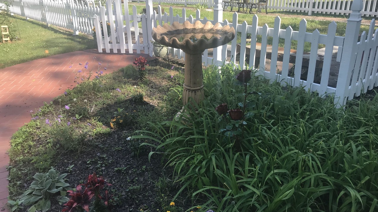 Photo of Outdoor in Jefferson