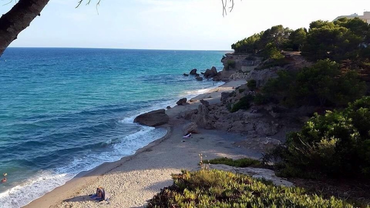 Photo of Others in Miami Platja