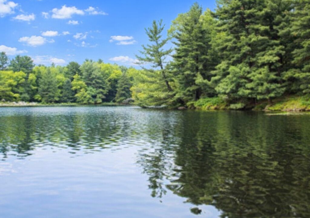 Photo of Outdoor in Lake Delton