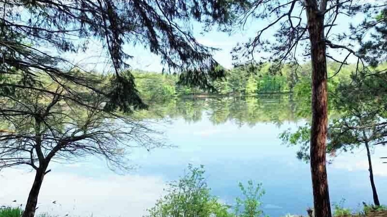 Photo of Outdoor in Lake Delton