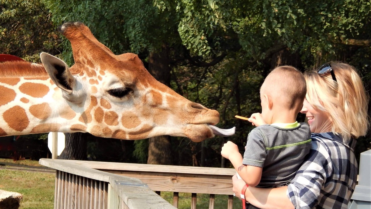 Photo of Others in Lake Delton