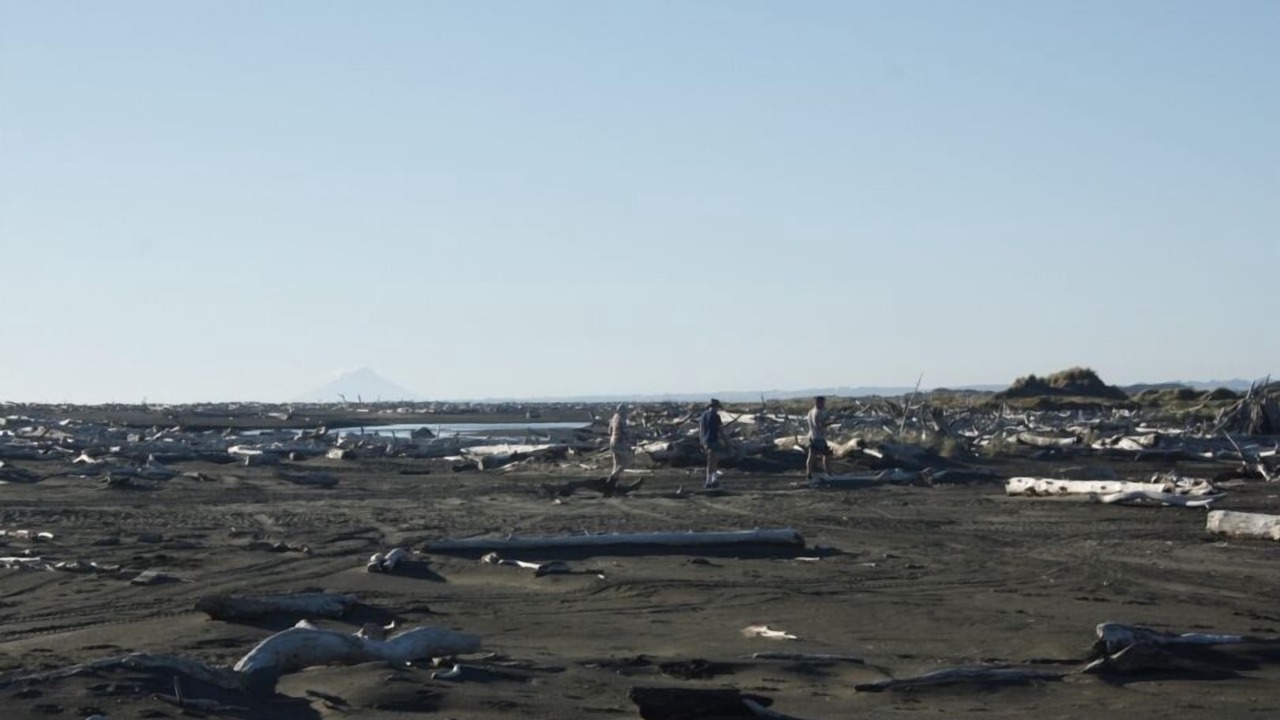 Photo of Others in Koitiata