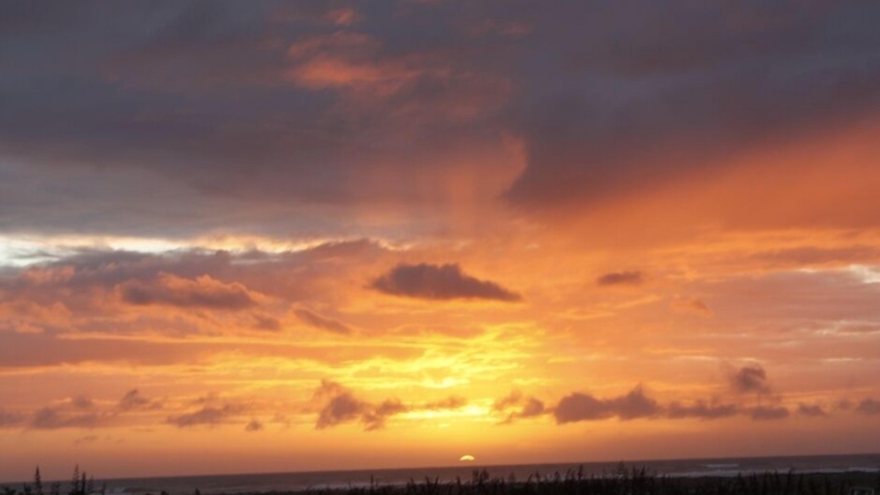 Photo of Others in Koitiata