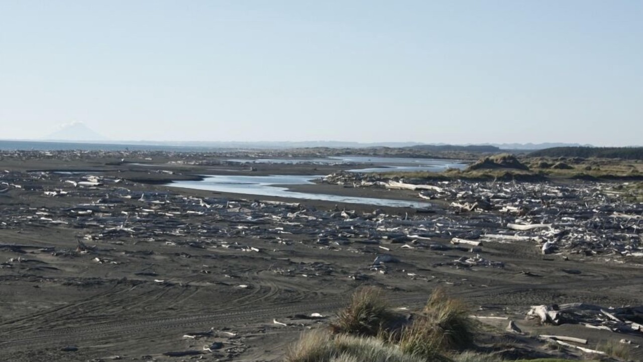 Photo of Others in Koitiata