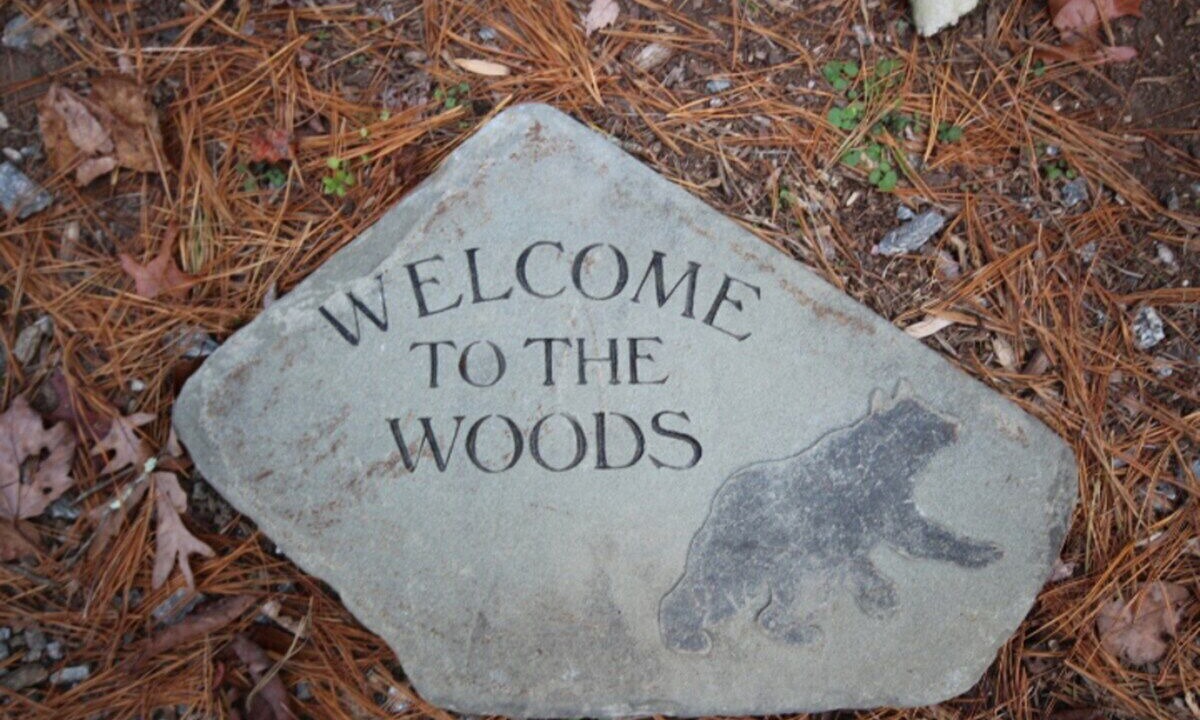 Photo of Others in Brevard
