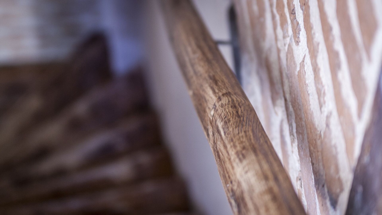 Photo of Others in Albi