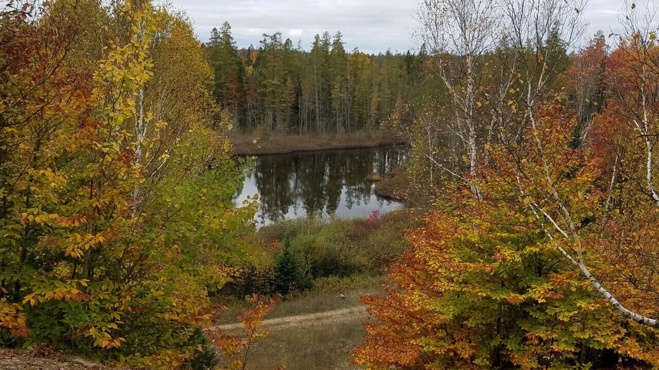Photo of Others in Steuben