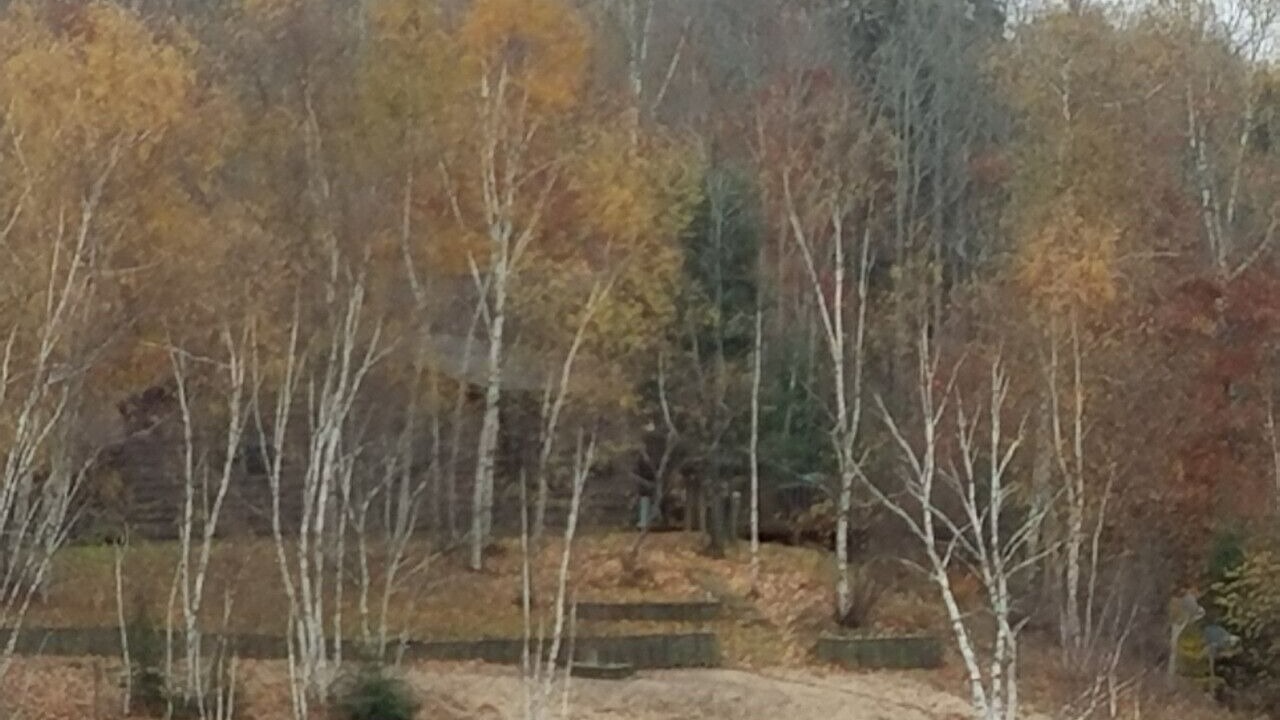Photo of Others in Steuben