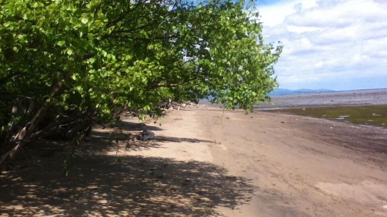 Photo of Others in Petite-Riviere-Saint-Francois