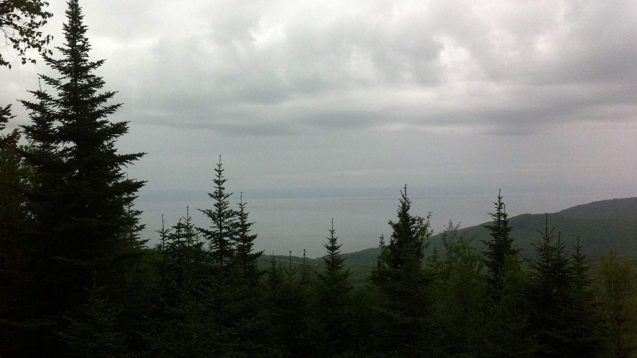 Photo of Others in Petite-Riviere-Saint-Francois