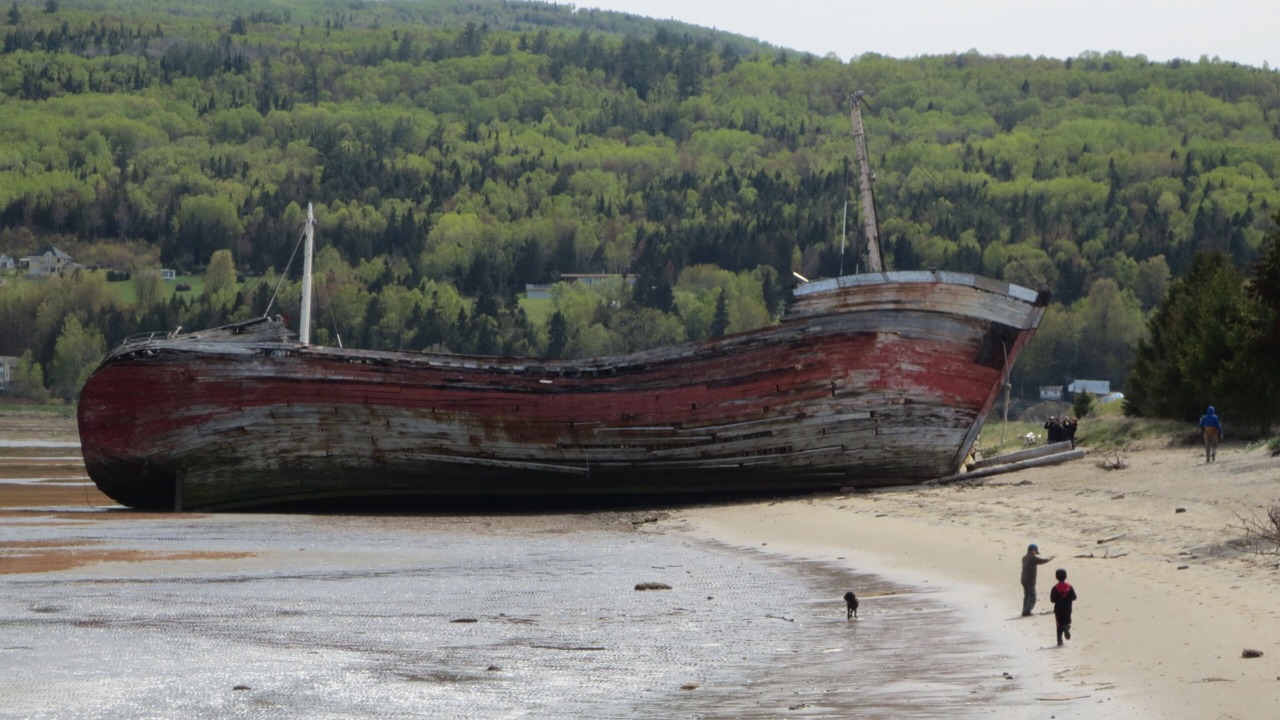 Photo of Others in Petite-Riviere-Saint-Francois