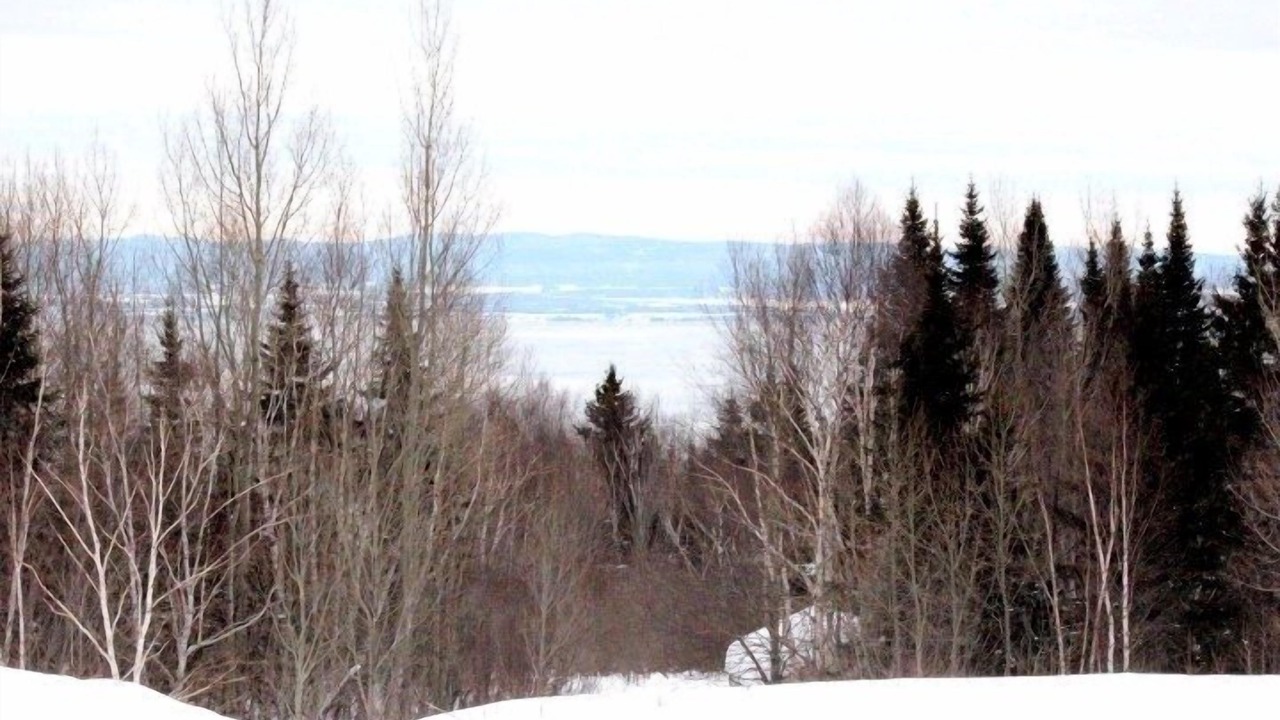 Photo of Others in Petite-Riviere-Saint-Francois