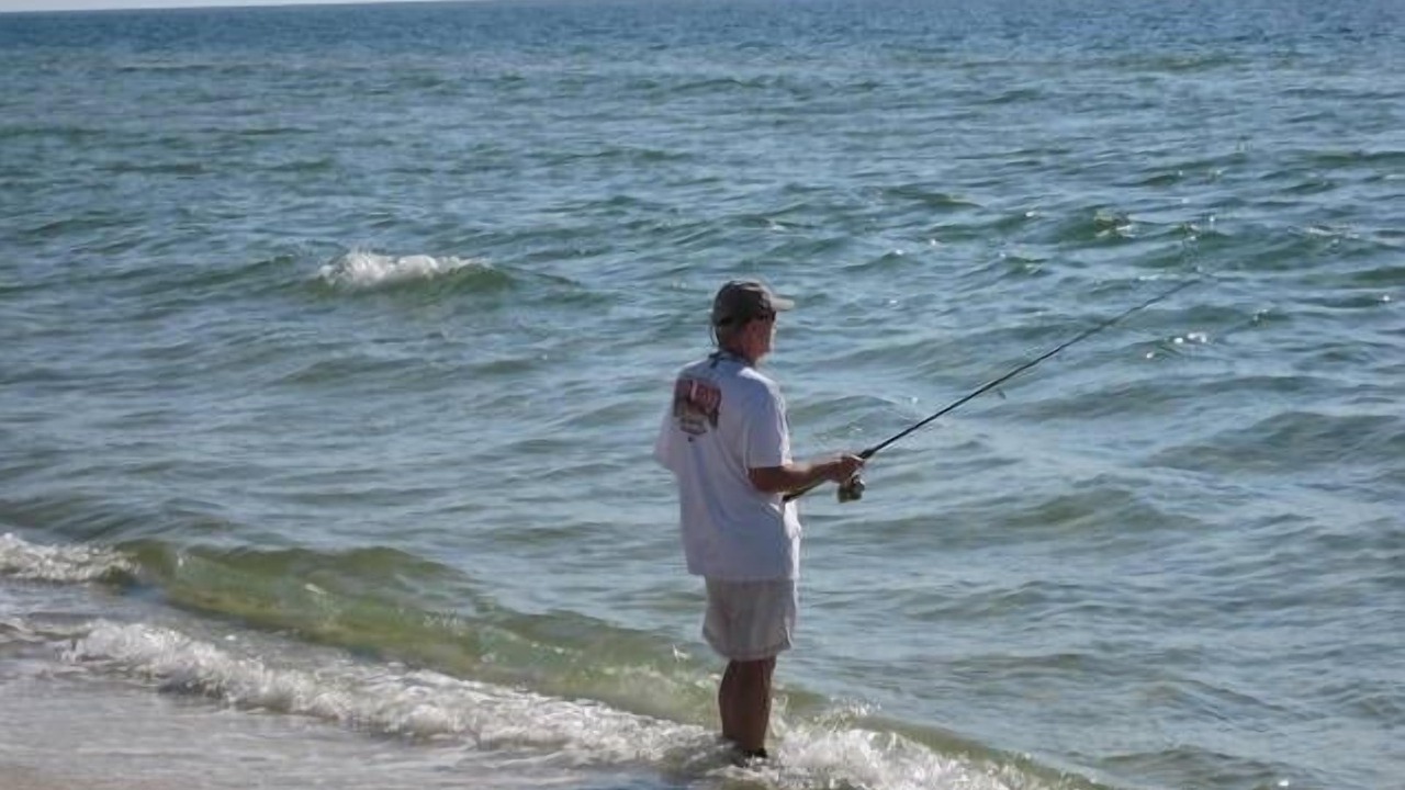 Photo of Others in Morgantown