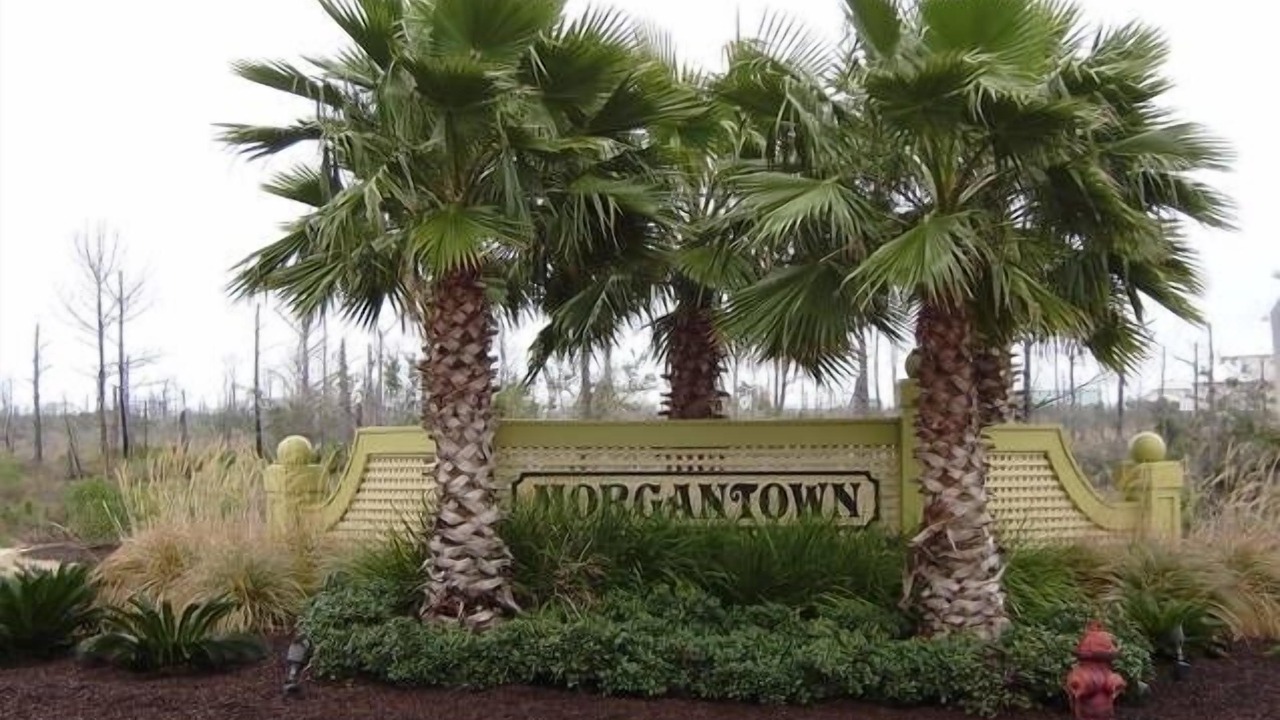 Photo of Others in Morgantown