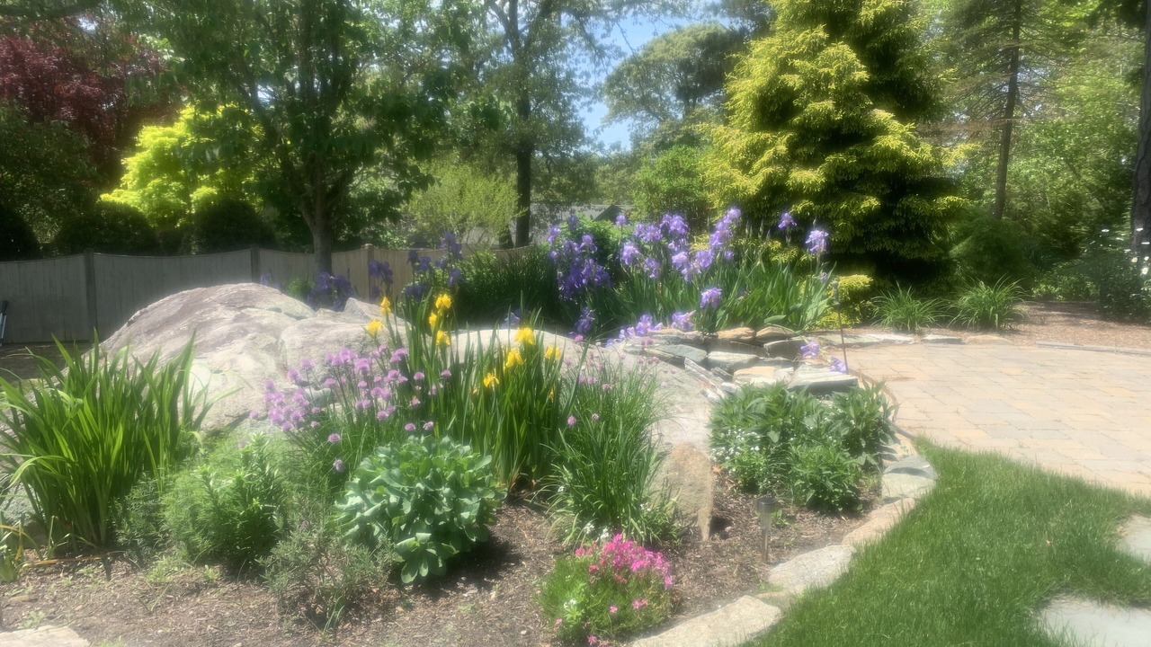 Photo of Others in Brewster