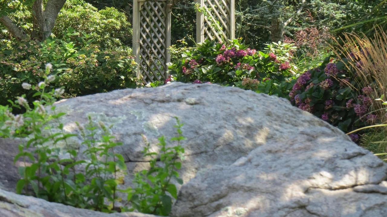 Photo of Others in Brewster