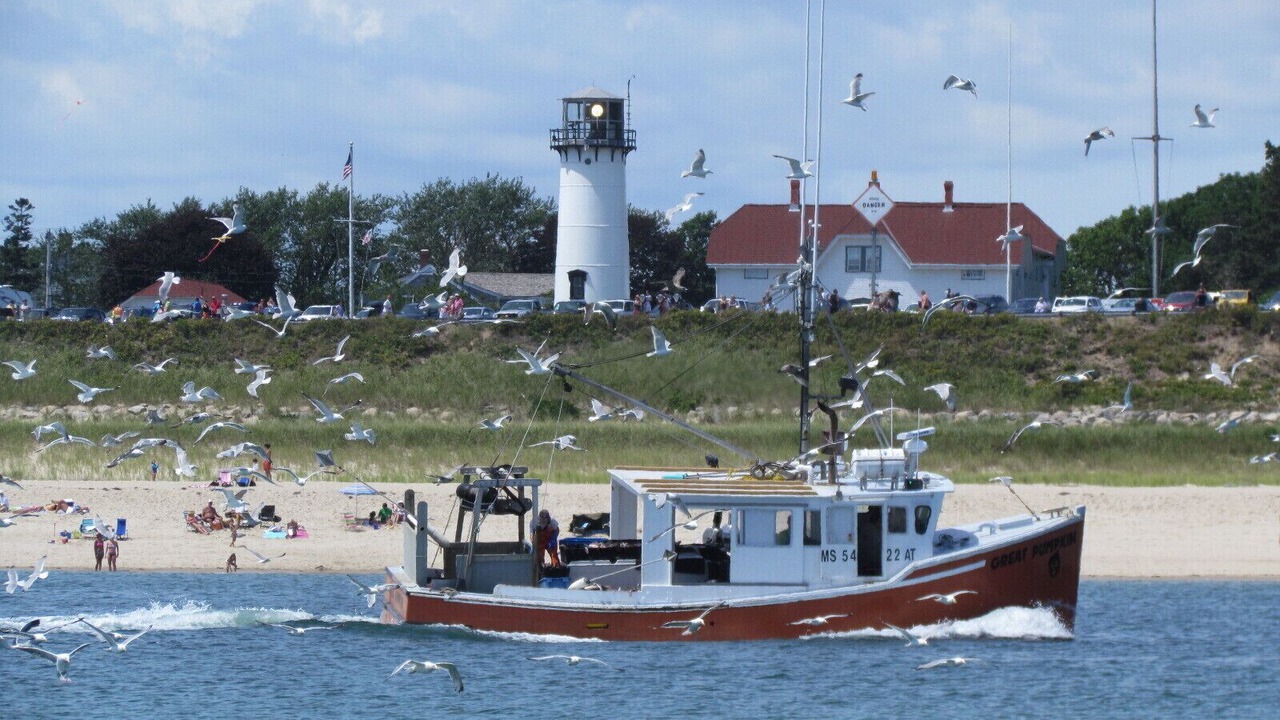 Photo of Others in Brewster