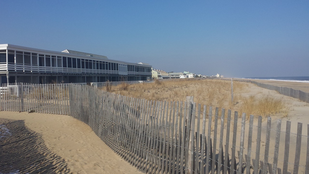 Photo of Others in Dewey Beach