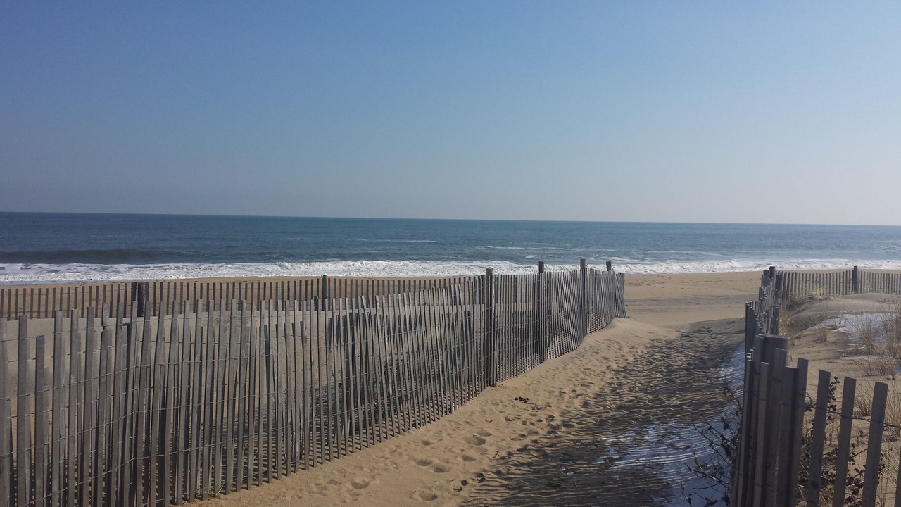 Photo of Others in Dewey Beach