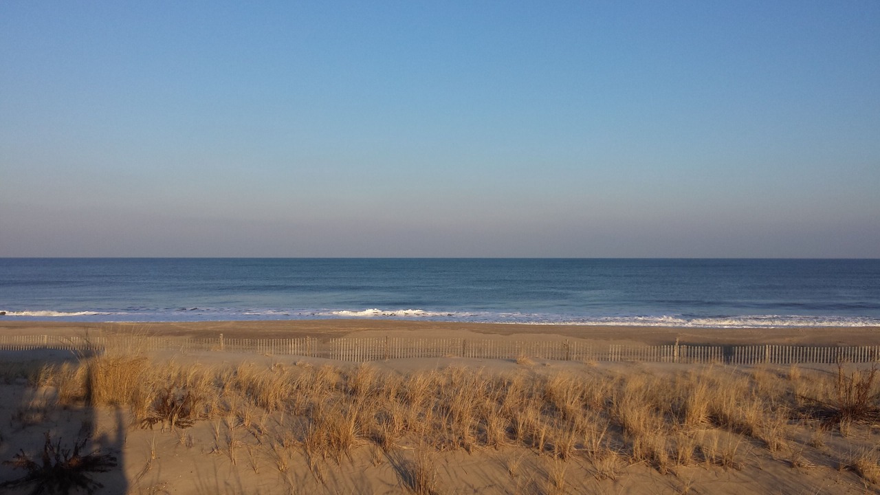 Photo of Others in Dewey Beach