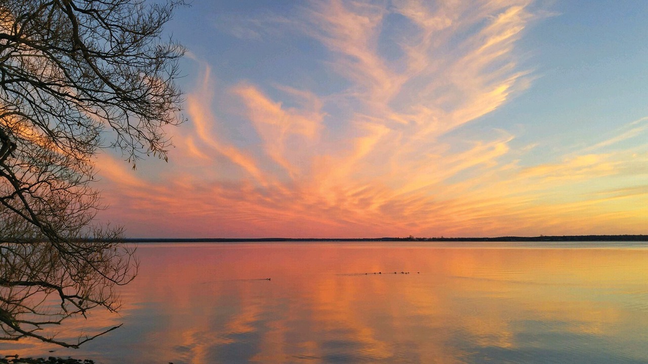 Photo of Others in Chaumont