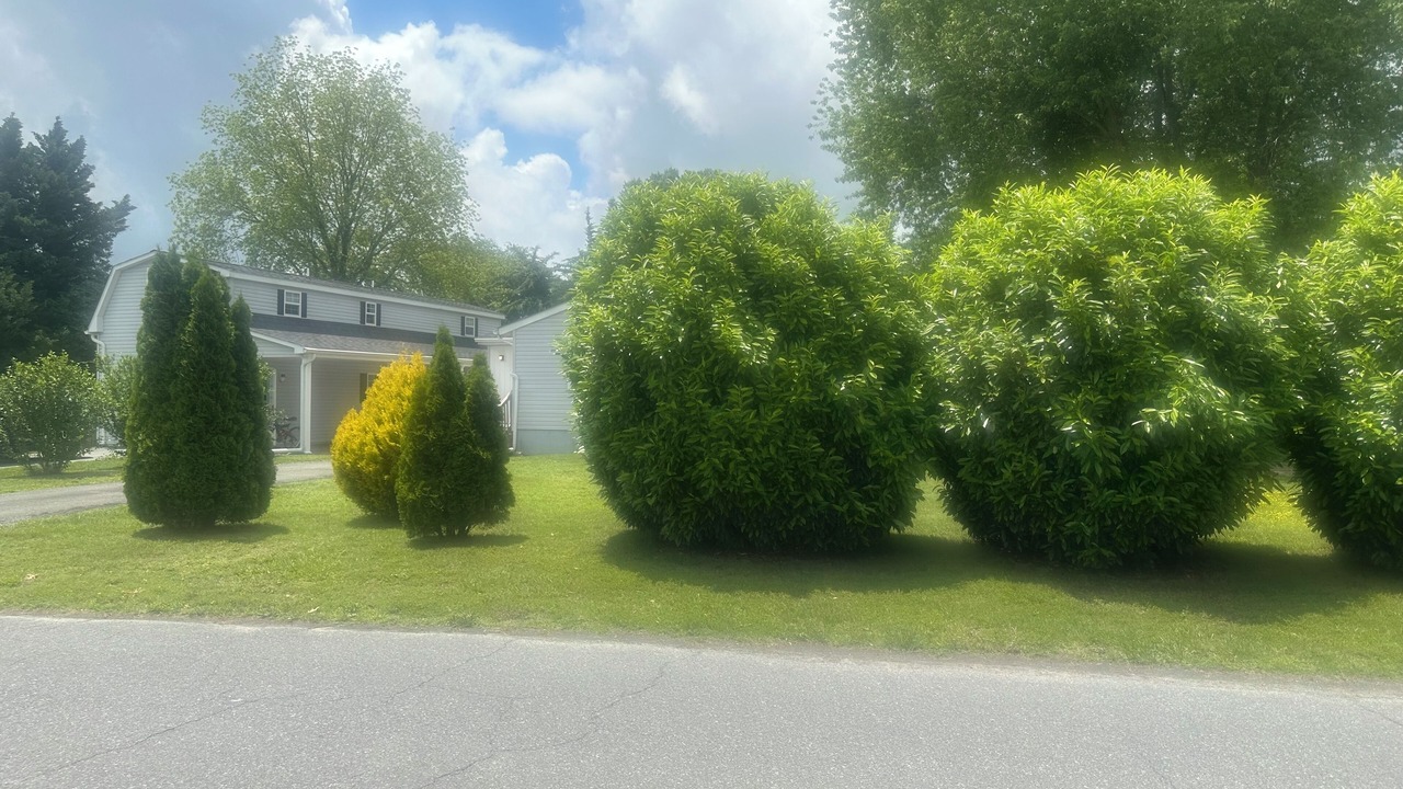Photo of Others in Milton