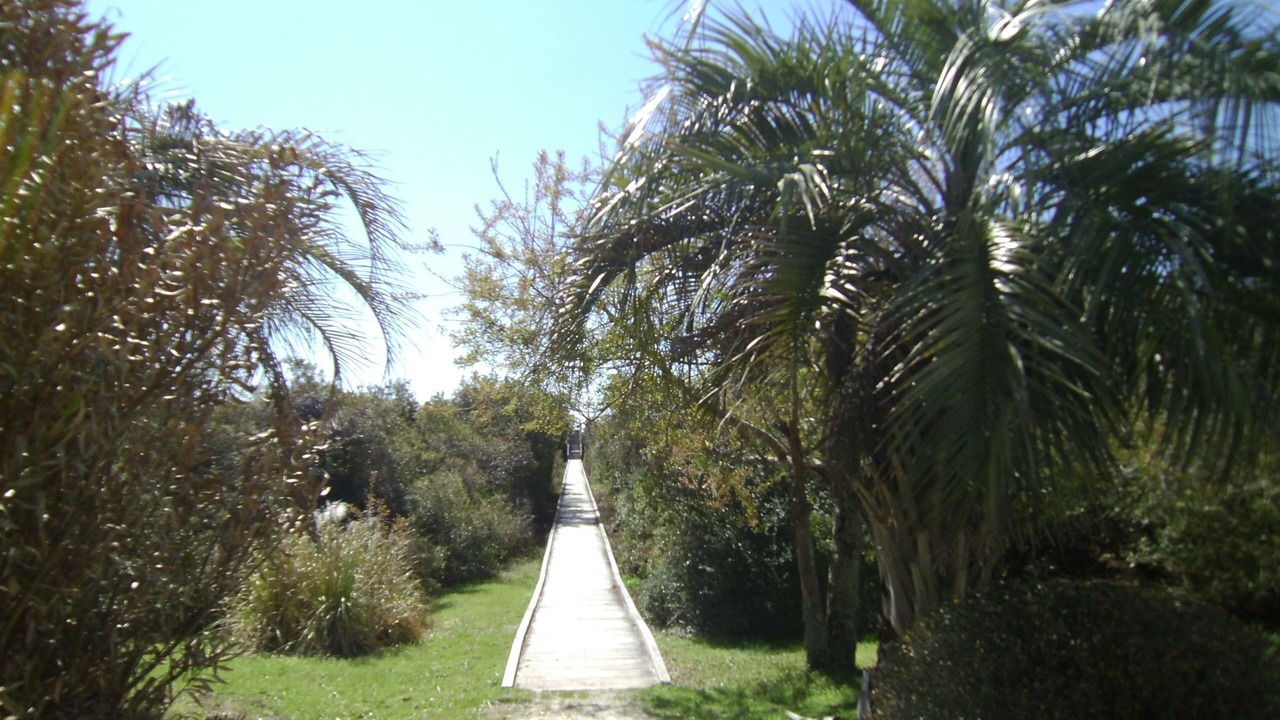 Photo of Others in Sunset Beach