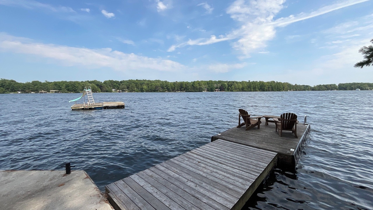 Photo of Outdoor in Lyndhurst
