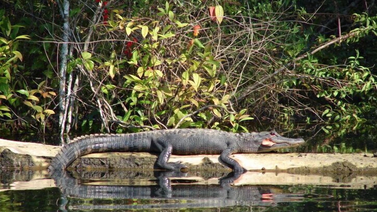 Photo of Outdoor in Crawfordville