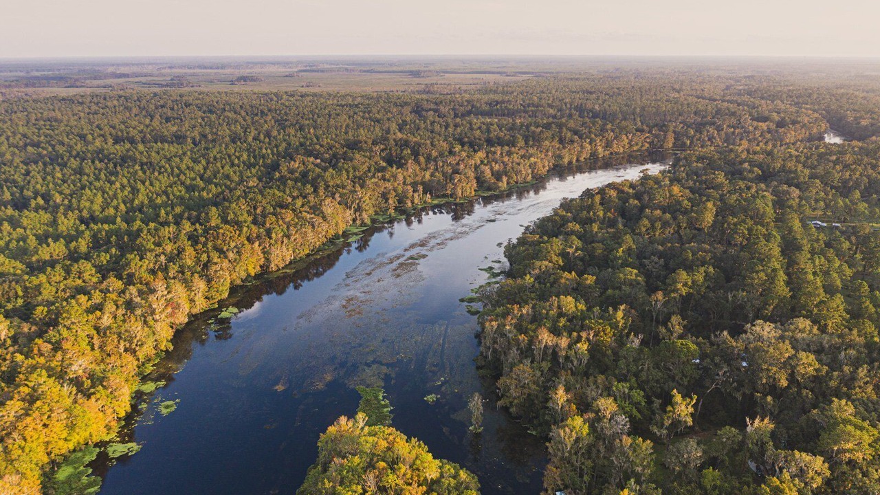 Photo of Outdoor in Crawfordville