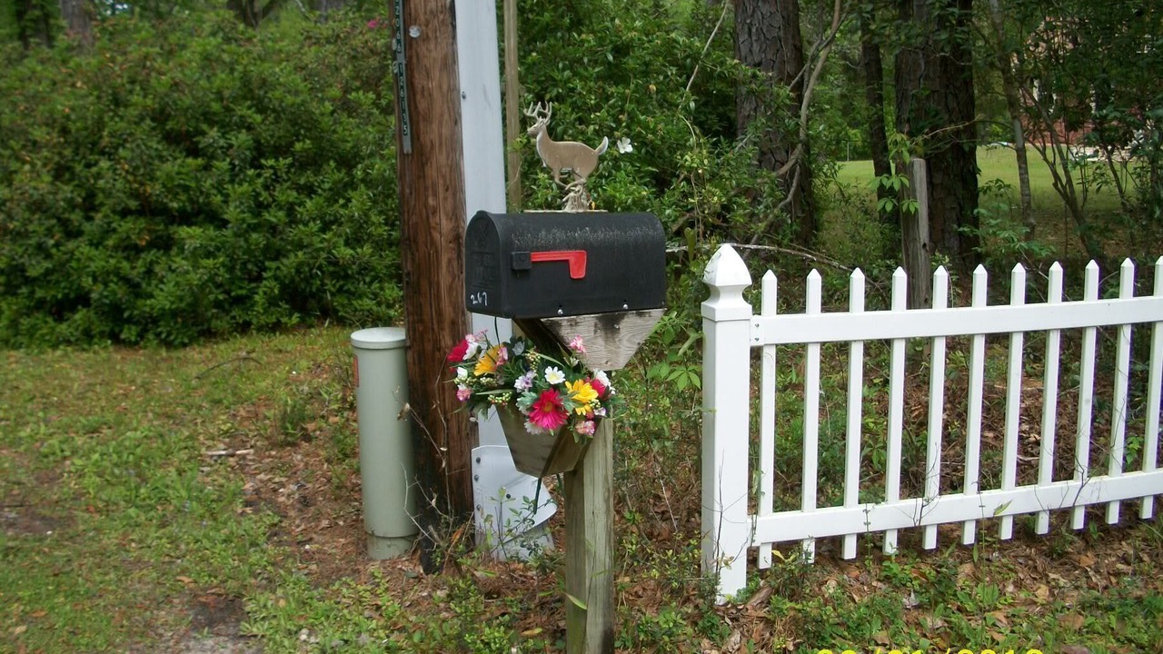 Photo of Outdoor in Crawfordville