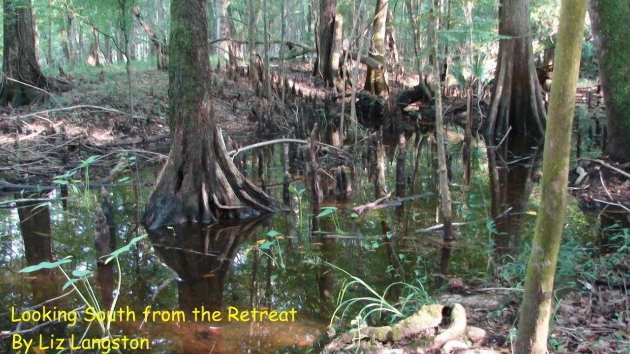 Photo of Outdoor in Crawfordville