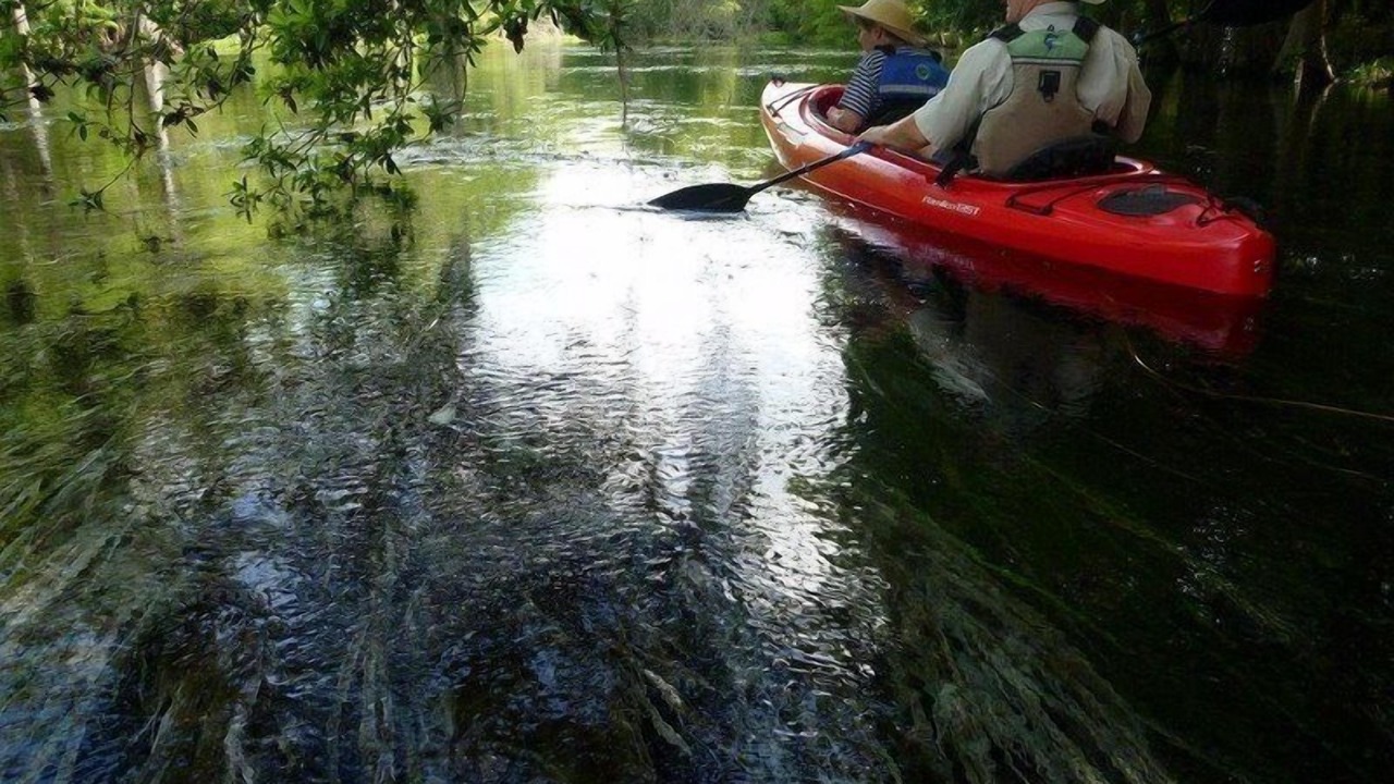 Photo of Others in Crawfordville
