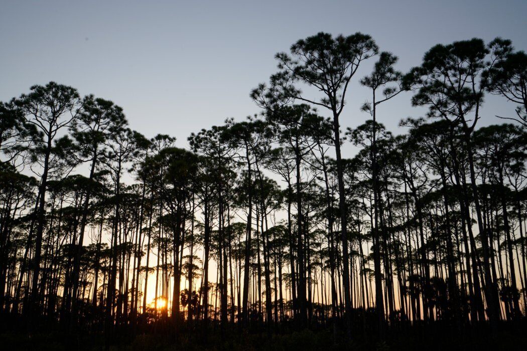 Photo of Outdoor in Crawfordville