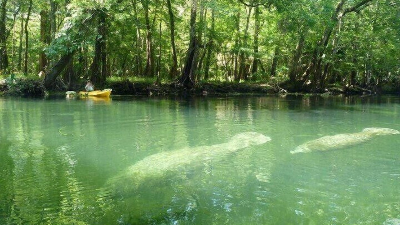 Photo of Others in Crawfordville
