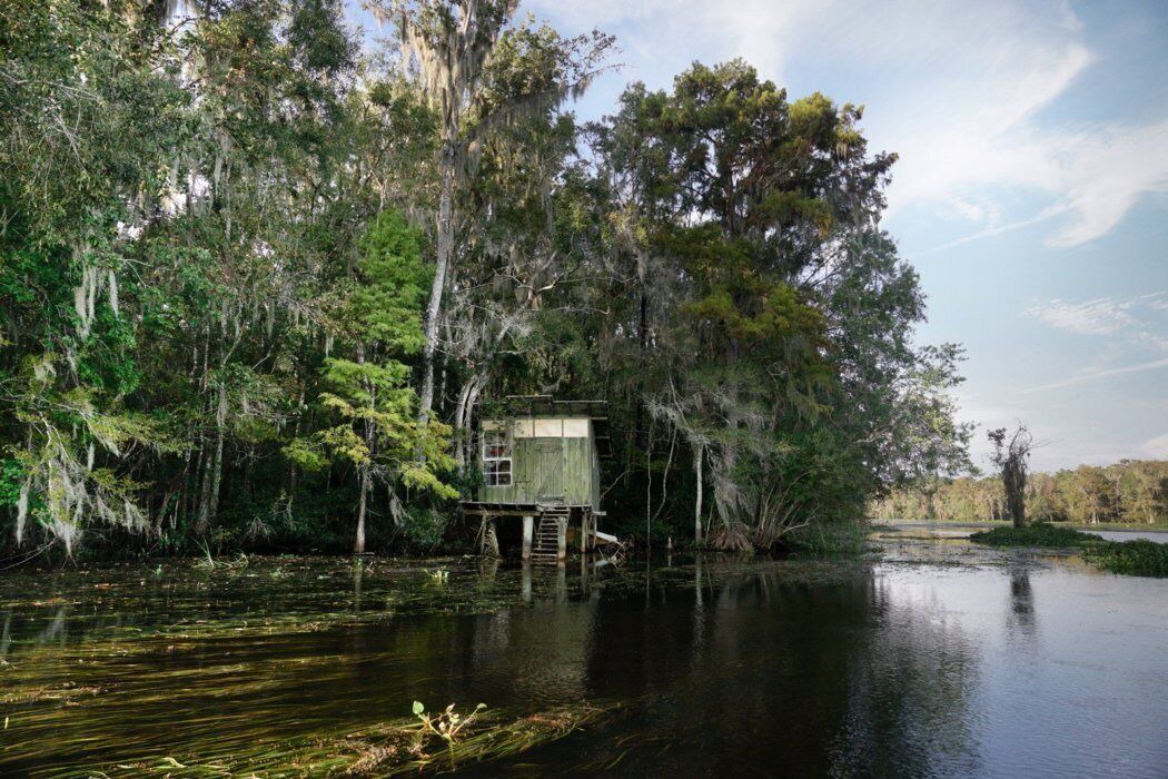 Photo of Outdoor in Crawfordville