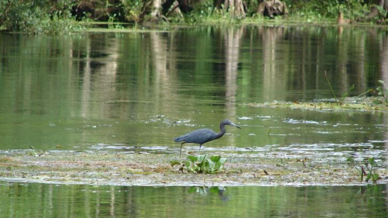 Photo of Outdoor in Crawfordville