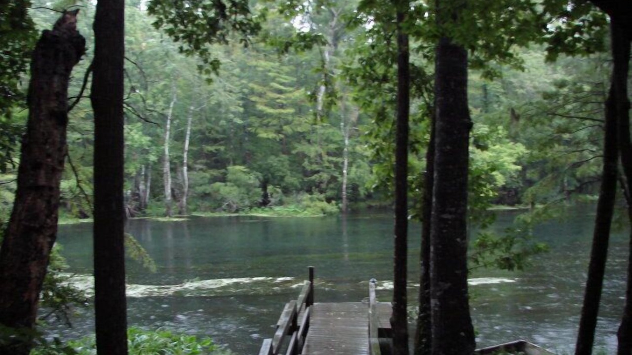 Photo of Others in Crawfordville