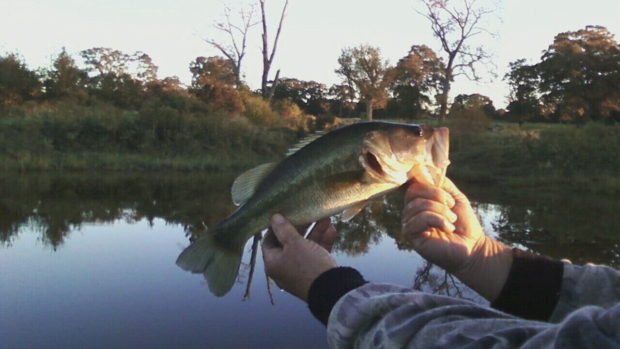 Photo of Others in Tyler