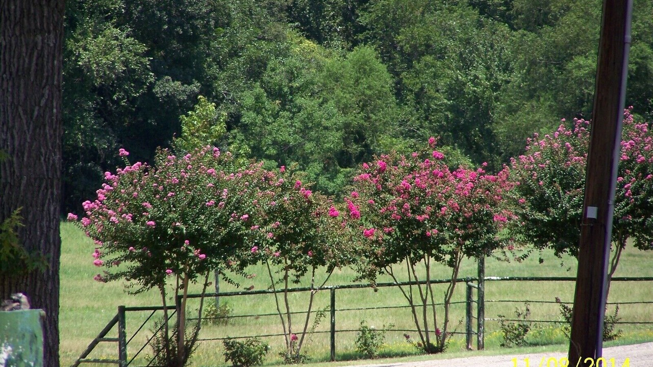 Photo of Outdoor in Tyler