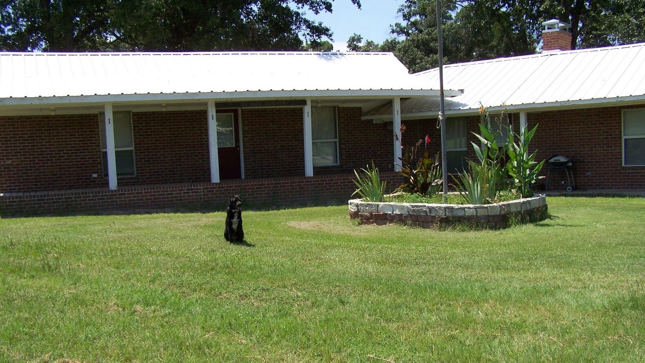Photo of Outdoor in Tyler