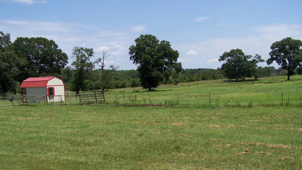 Photo of Outdoor in Tyler