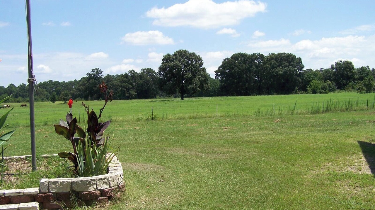 Photo of Outdoor in Tyler
